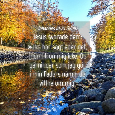 Picture 04 - Johannes 10:25 SV1917 - Jesus svarade dem: »Jag har sagt eder det, men I - Bible Verse Picture