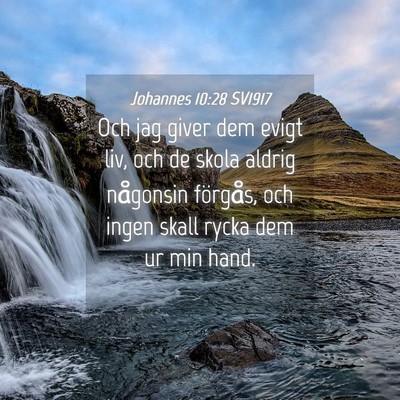Picture 04 - Johannes 10:28 SV1917 - Och jag giver dem evigt liv, och de skola aldrig - Bible Verse Picture