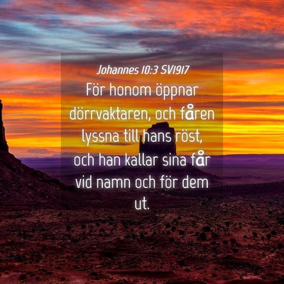 Picture 04 - Johannes 10:3 SV1917 - För honom öppnar dörrvaktaren, och fåren - Bible Verse Picture