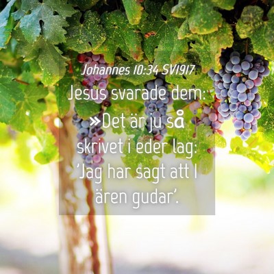 Picture 04 - Johannes 10:34 SV1917 - Jesus svarade dem: »Det är ju så skrivet i - Bible Verse Picture