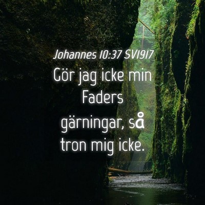 Picture 04 - Johannes 10:37 SV1917 - Gör jag icke min Faders gärningar, så tron mig - Bible Verse Picture