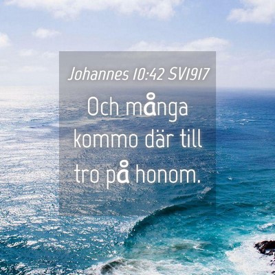 Picture 04 - Johannes 10:42 SV1917 - Och många kommo där till tro på - Bible Verse Picture