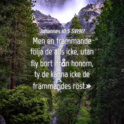 Picture 04 - Johannes 10:5 SV1917 - Men en främmande följa de alls icke, utan fly - Bible Verse Picture