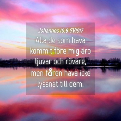 Picture 04 - Johannes 10:8 SV1917 - Alla de som hava kommit före mig äro tjuvar och - Bible Verse Picture