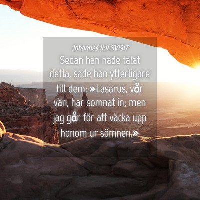 Picture 04 - Johannes 11:11 SV1917 - Sedan han hade talat detta, sade han ytterligare - Bible Verse Picture