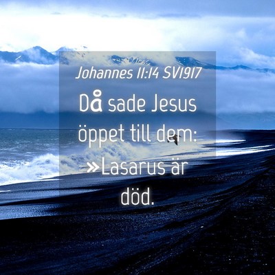 Picture 04 - Johannes 11:14 SV1917 - Då sade Jesus öppet till dem: »Lasarus är - Bible Verse Picture
