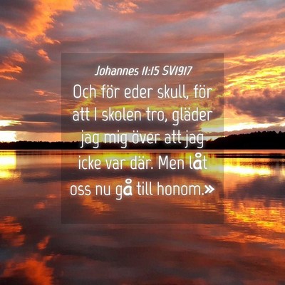 Picture 04 - Johannes 11:15 SV1917 - Och för eder skull, för att I skolen tro, - Bible Verse Picture