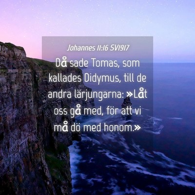 Picture 04 - Johannes 11:16 SV1917 - Då sade Tomas, som kallades Didymus, till de - Bible Verse Picture