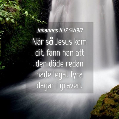 Picture 04 - Johannes 11:17 SV1917 - När så Jesus kom dit, fann han att den döde - Bible Verse Picture