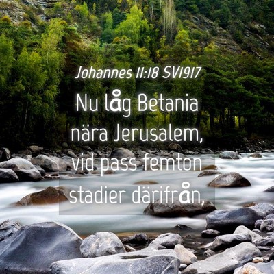 Picture 04 - Johannes 11:18 SV1917 - Nu låg Betania nära Jerusalem, vid pass femton - Bible Verse Picture