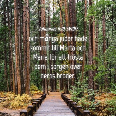 Picture 04 - Johannes 11:19 SV1917 - och många judar hade kommit till Marta och Maria - Bible Verse Picture