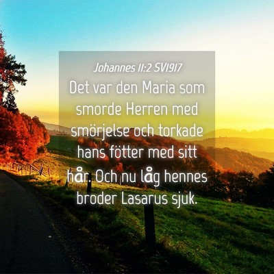 Picture 04 - Johannes 11:2 SV1917 - Det var den Maria som smorde Herren med - Bible Verse Picture
