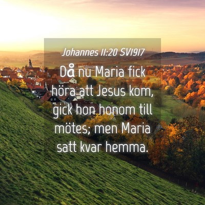 Picture 04 - Johannes 11:20 SV1917 - Då nu Maria fick höra att Jesus kom, gick hon - Bible Verse Picture