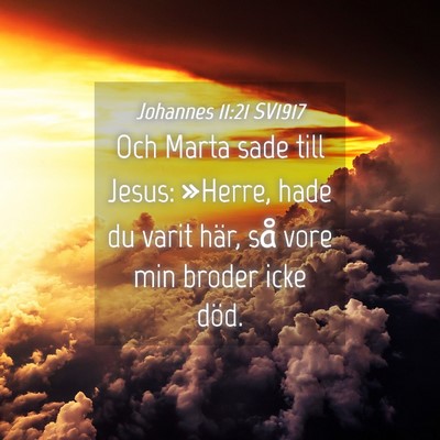 Picture 04 - Johannes 11:21 SV1917 - Och Marta sade till Jesus: »Herre, hade du varit - Bible Verse Picture
