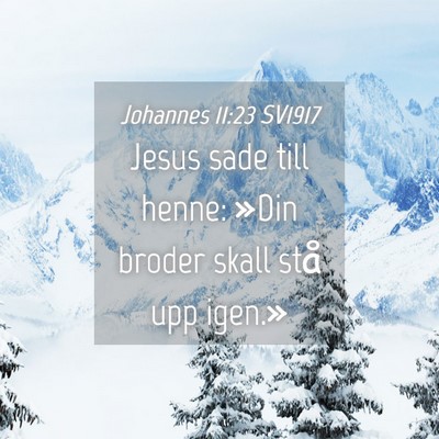 Picture 04 - Johannes 11:23 SV1917 - Jesus sade till henne: »Din broder skall stå - Bible Verse Picture