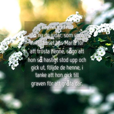 Picture 04 - Johannes 11:31 SV1917 - Då nu de judar, som voro inne i huset hos Maria - Bible Verse Picture