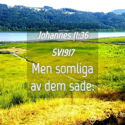 Picture 04 - Johannes 11:36 SV1917 - Men somliga av dem - Bible Verse Picture