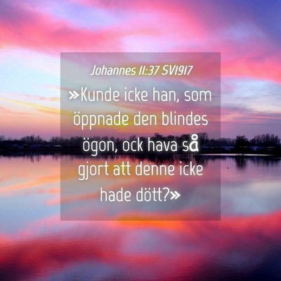 Picture 04 - Johannes 11:37 SV1917 - »Kunde icke han, som öppnade den blindes ögon, - Bible Verse Picture