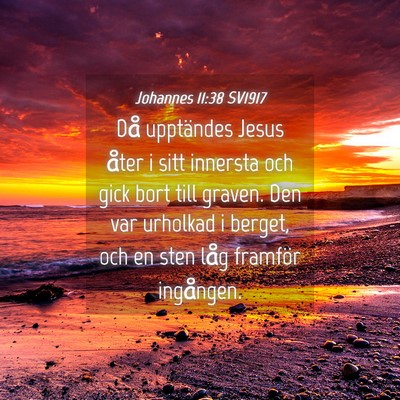 Picture 04 - Johannes 11:38 SV1917 - Då upptändes Jesus åter i sitt innersta och - Bible Verse Picture