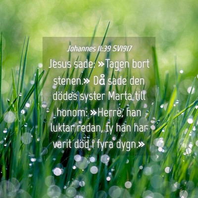 Picture 04 - Johannes 11:39 SV1917 - Jesus sade: »Tagen bort stenen.» Då sade den - Bible Verse Picture