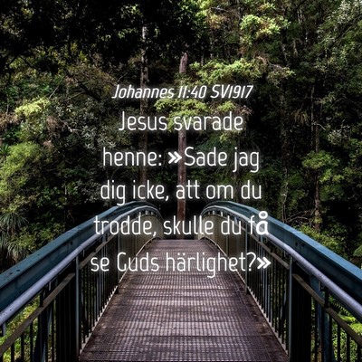 Picture 04 - Johannes 11:40 SV1917 - Jesus svarade henne: »Sade jag dig icke, att om - Bible Verse Picture