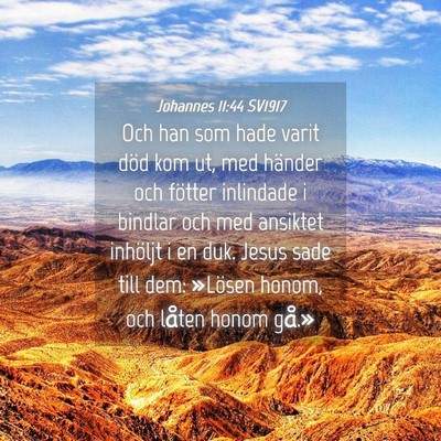 Picture 04 - Johannes 11:44 SV1917 - Och han som hade varit död kom ut, med händer - Bible Verse Picture