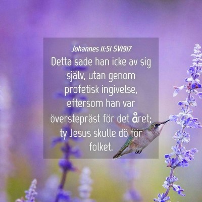 Picture 04 - Johannes 11:51 SV1917 - Detta sade han icke av sig själv, utan genom - Bible Verse Picture