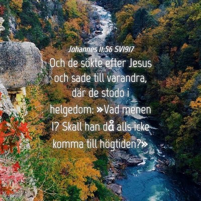 Picture 04 - Johannes 11:56 SV1917 - Och de sökte efter Jesus och sade till varandra, - Bible Verse Picture