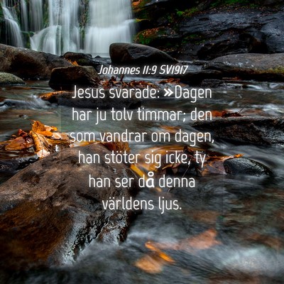 Picture 04 - Johannes 11:9 SV1917 - Jesus svarade: »Dagen har ju tolv timmar; den - Bible Verse Picture