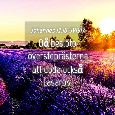 Picture 04 - Johannes 12:10 SV1917 - Då beslöto översteprästerna att döda också - Bible Verse Picture