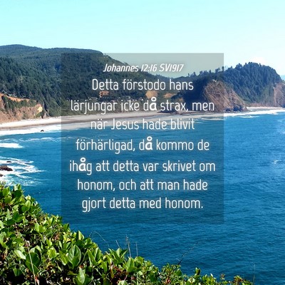 Picture 04 - Johannes 12:16 SV1917 - Detta förstodo hans lärjungar icke då strax, - Bible Verse Picture