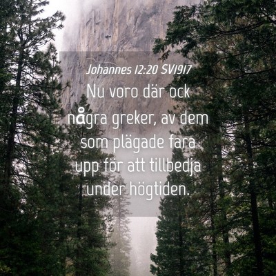 Picture 04 - Johannes 12:20 SV1917 - Nu voro där ock några greker, av dem som - Bible Verse Picture