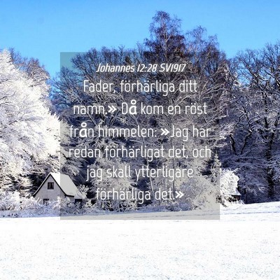 Picture 04 - Johannes 12:28 SV1917 - Fader, förhärliga ditt namn.» Då kom en röst - Bible Verse Picture