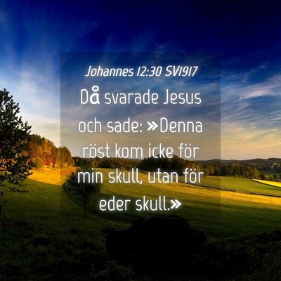 Picture 04 - Johannes 12:30 SV1917 - Då svarade Jesus och sade: »Denna röst kom - Bible Verse Picture