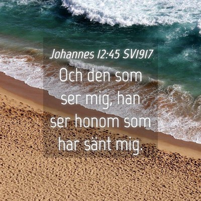 Picture 04 - Johannes 12:45 SV1917 - Och den som ser mig, han ser honom som har sänt - Bible Verse Picture
