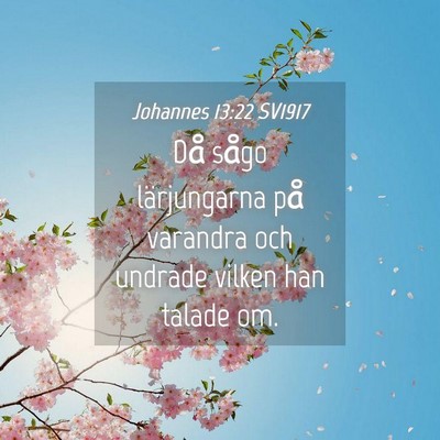 Picture 04 - Johannes 13:22 SV1917 - Då sågo lärjungarna på varandra och undrade - Bible Verse Picture