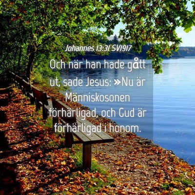 Picture 04 - Johannes 13:31 SV1917 - Och när han hade gått ut, sade Jesus: »Nu är - Bible Verse Picture