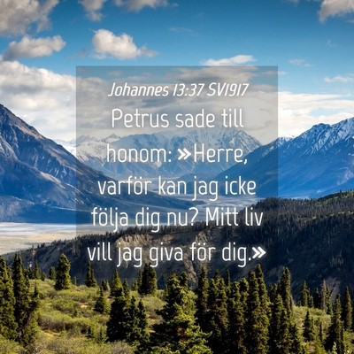 Picture 04 - Johannes 13:37 SV1917 - Petrus sade till honom: »Herre, varför kan jag - Bible Verse Picture