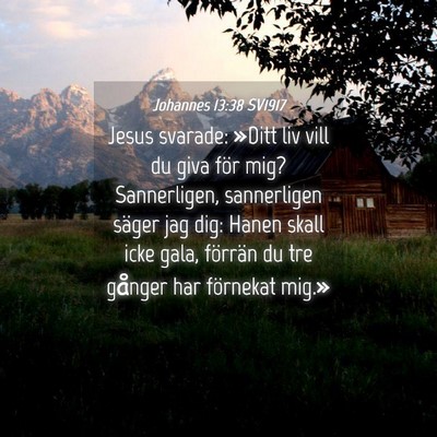 Picture 04 - Johannes 13:38 SV1917 - Jesus svarade: »Ditt liv vill du giva för mig? - Bible Verse Picture
