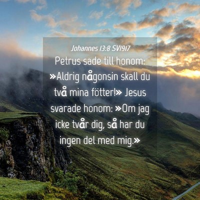 Picture 04 - Johannes 13:8 SV1917 - Petrus sade till honom: »Aldrig någonsin skall - Bible Verse Picture