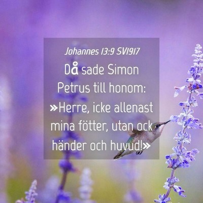 Picture 04 - Johannes 13:9 SV1917 - Då sade Simon Petrus till honom: »Herre, icke - Bible Verse Picture