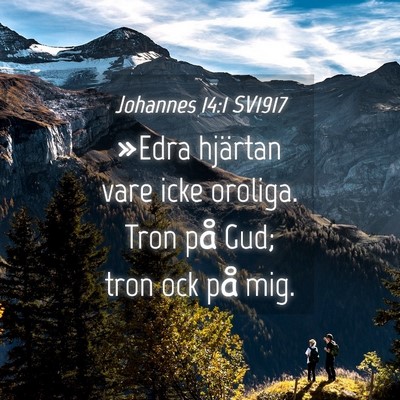 Picture 04 - Johannes 14:1 SV1917 - »Edra hjärtan vare icke oroliga. Tron på Gud; - Bible Verse Picture