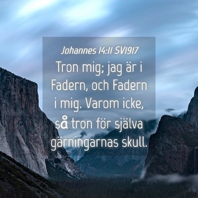 Picture 04 - Johannes 14:11 SV1917 - Tron mig; jag är i Fadern, och Fadern i mig. - Bible Verse Picture