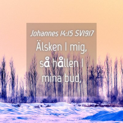 Picture 04 - Johannes 14:15 SV1917 - Älsken I mig, så hållen I mina - Bible Verse Picture