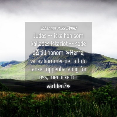 Picture 04 - Johannes 14:22 SV1917 - Judas -- icke han som kallades Iskariot -- sade - Bible Verse Picture