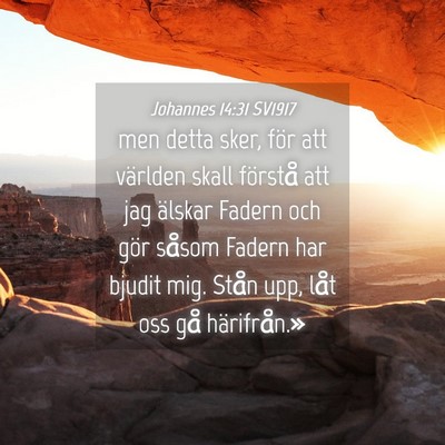 Picture 04 - Johannes 14:31 SV1917 - men detta sker, för att världen skall förstå - Bible Verse Picture