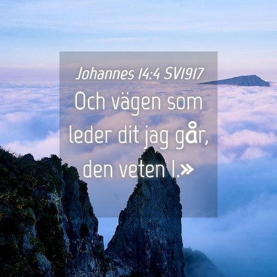 Picture 04 - Johannes 14:4 SV1917 - Och vägen som leder dit jag går, den veten - Bible Verse Picture