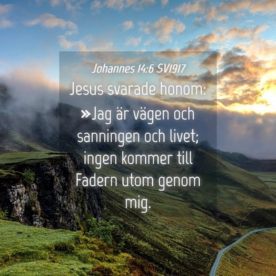 Picture 04 - Johannes 14:6 SV1917 - Jesus svarade honom: »Jag är vägen och - Bible Verse Picture