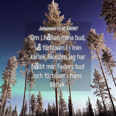 Picture 04 - Johannes 15:10 SV1917 - Om I hållen mina bud, så förbliven I i min - Bible Verse Picture
