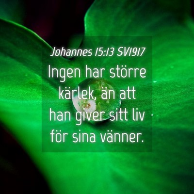 Picture 04 - Johannes 15:13 SV1917 - Ingen har större kärlek, än att han giver sitt - Bible Verse Picture
